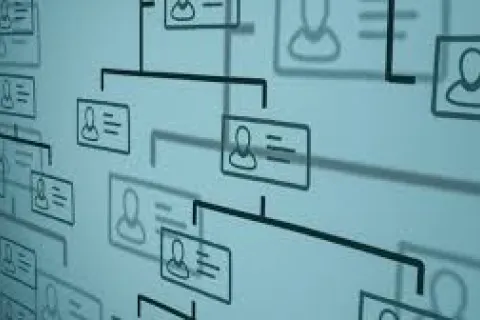 organigramma
